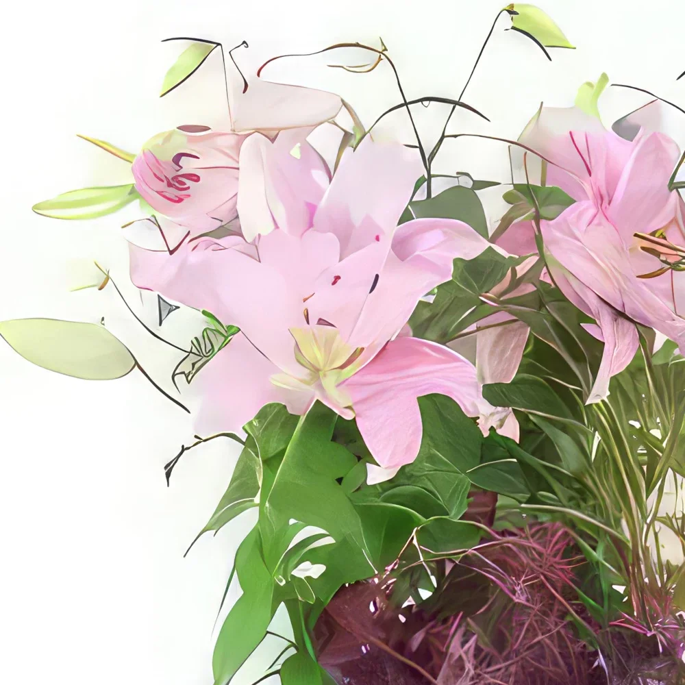 Pau bloemen bloemist- Hoge assemblage van Hortus Lilium planten Boeket/bloemstuk