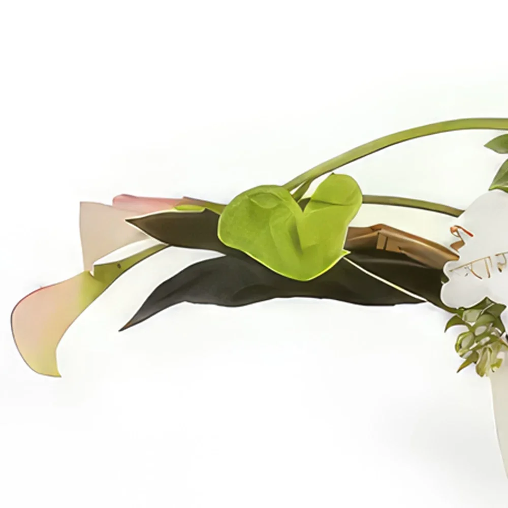 بائع زهور بوردو- مروحة تكوين أفقي باقة الزهور