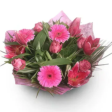 Palia Ampelia flowers  -  Hot Pinks Flower Bouquet/Arrangement