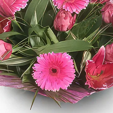 Palia Ampelia flowers  -  Hot Pinks Flower Bouquet/Arrangement