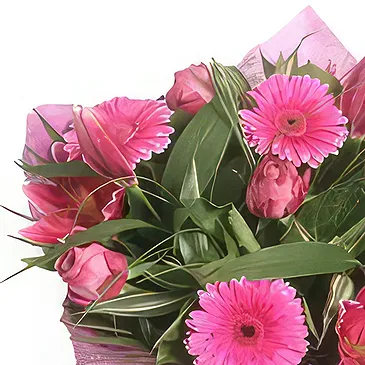 Palia Ampelia flowers  -  Hot Pinks Flower Bouquet/Arrangement