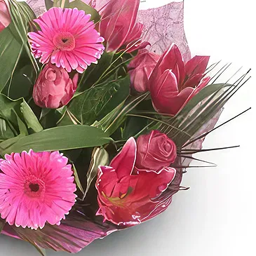 Palia Ampelia flowers  -  Hot Pinks Flower Bouquet/Arrangement