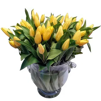 Cala Llonga flowers  -  Ice Cube Arrangement Flower Delivery