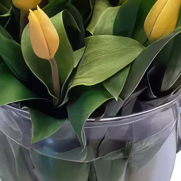 Cala Llonga flowers  -  Ice Cube Arrangement Flower Bouquet/Arrangement
