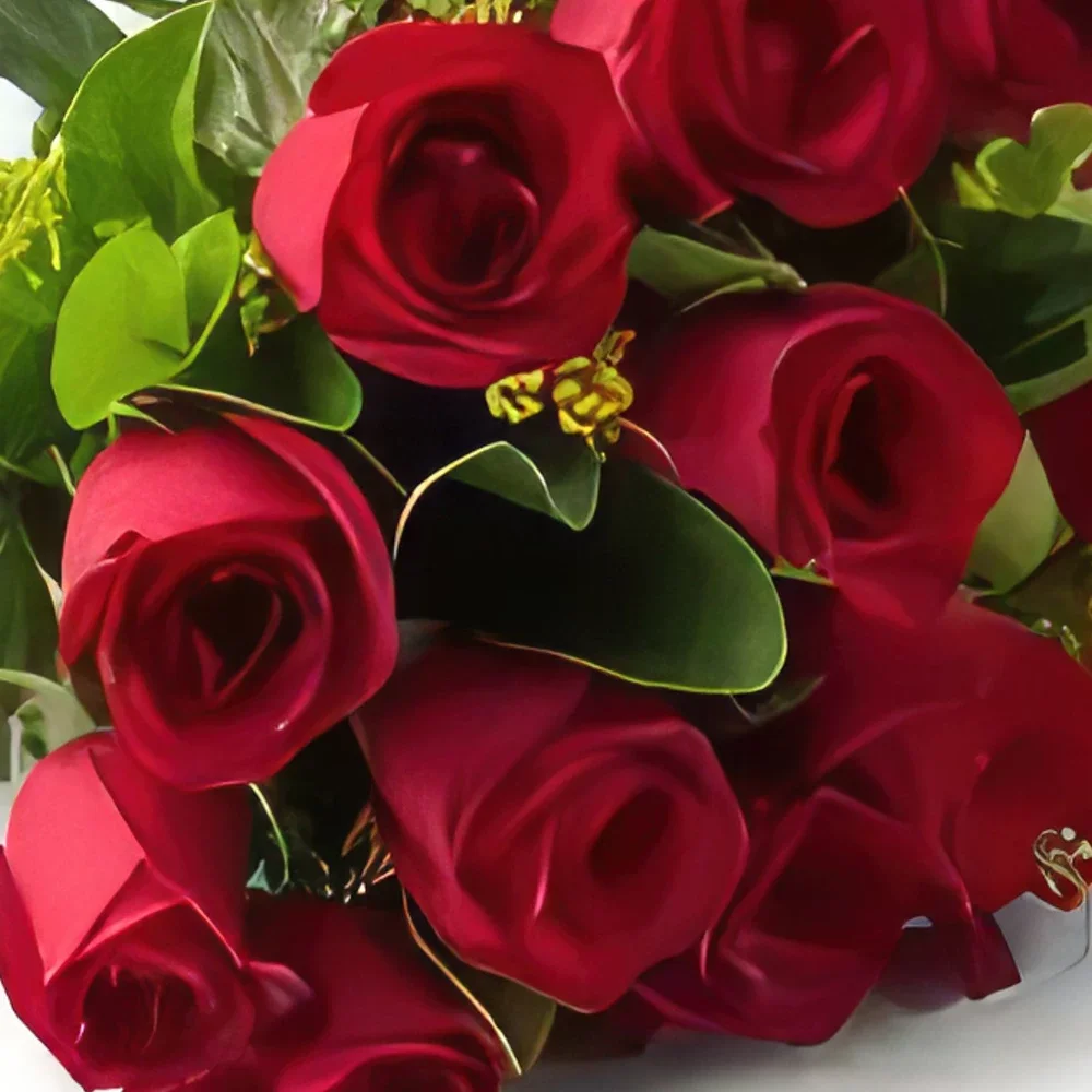 サンパウロ 花- 17本の紅バラの伝統的なブーケ 花束/フラワーアレンジメント
