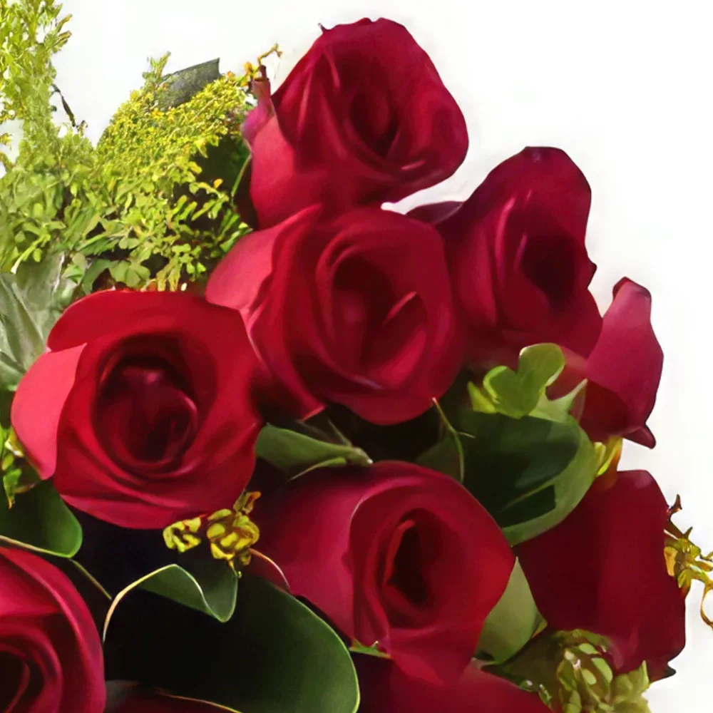 Salvador kukat- Perinteinen 17 punaisen ruusun kimppu Kukka kukkakimppu