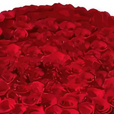fleuriste fleurs de Hauteurs de Barsha- Des roses impressionnantes Bouquet/Arrangement floral