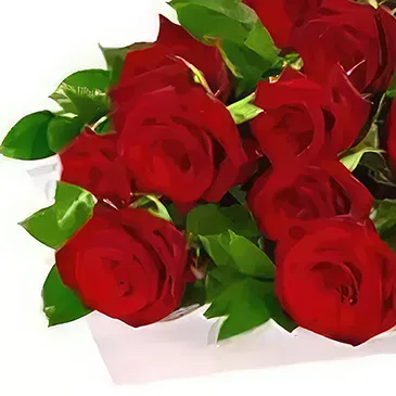 Macuilacatl Chico flowers  -  Classic romance Flower Bouquet/Arrangement