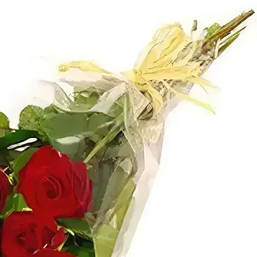 Macuilacatl Chico flowers  -  Classic romance Flower Bouquet/Arrangement