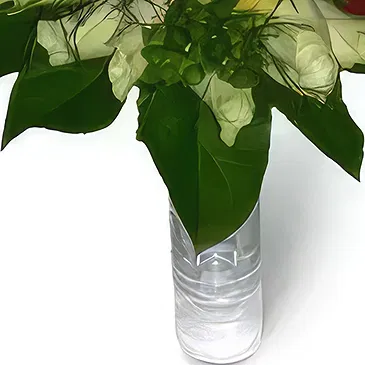 Wroclaw flowers  -  Green & Red Flower Bouquet/Arrangement