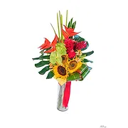 San Jose Santiago online Florist - Tropical night Bouquet