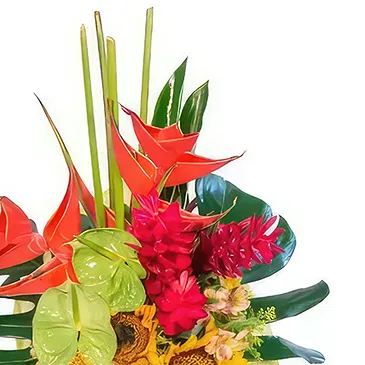 San Jose Santiago flowers  -  Tropical night Flower Bouquet/Arrangement