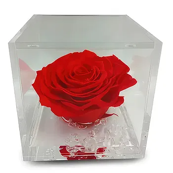 Madrid flowers  -  Floral Jewel Flower Delivery
