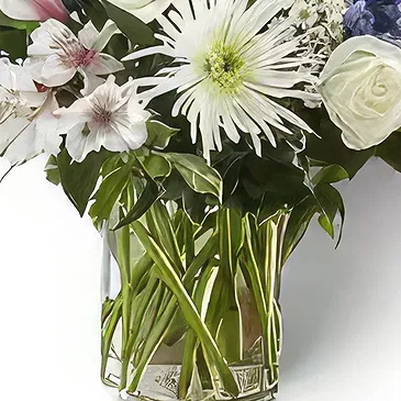 Garhoud flowers  -  Joyful Flowers Flower Bouquet/Arrangement