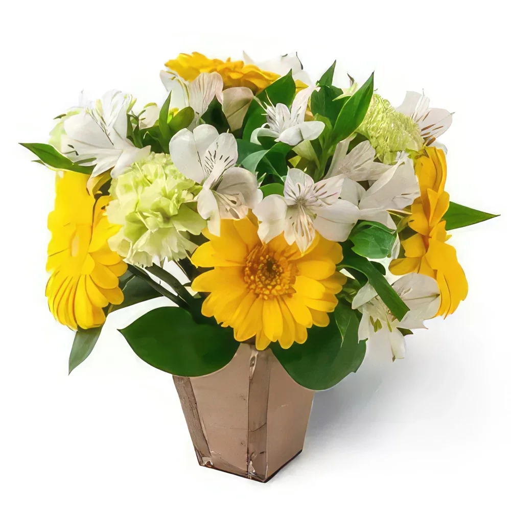Belém kvety- Usporiadanie žltej a bielej Gerberas a Astrom Aranžovanie kytice