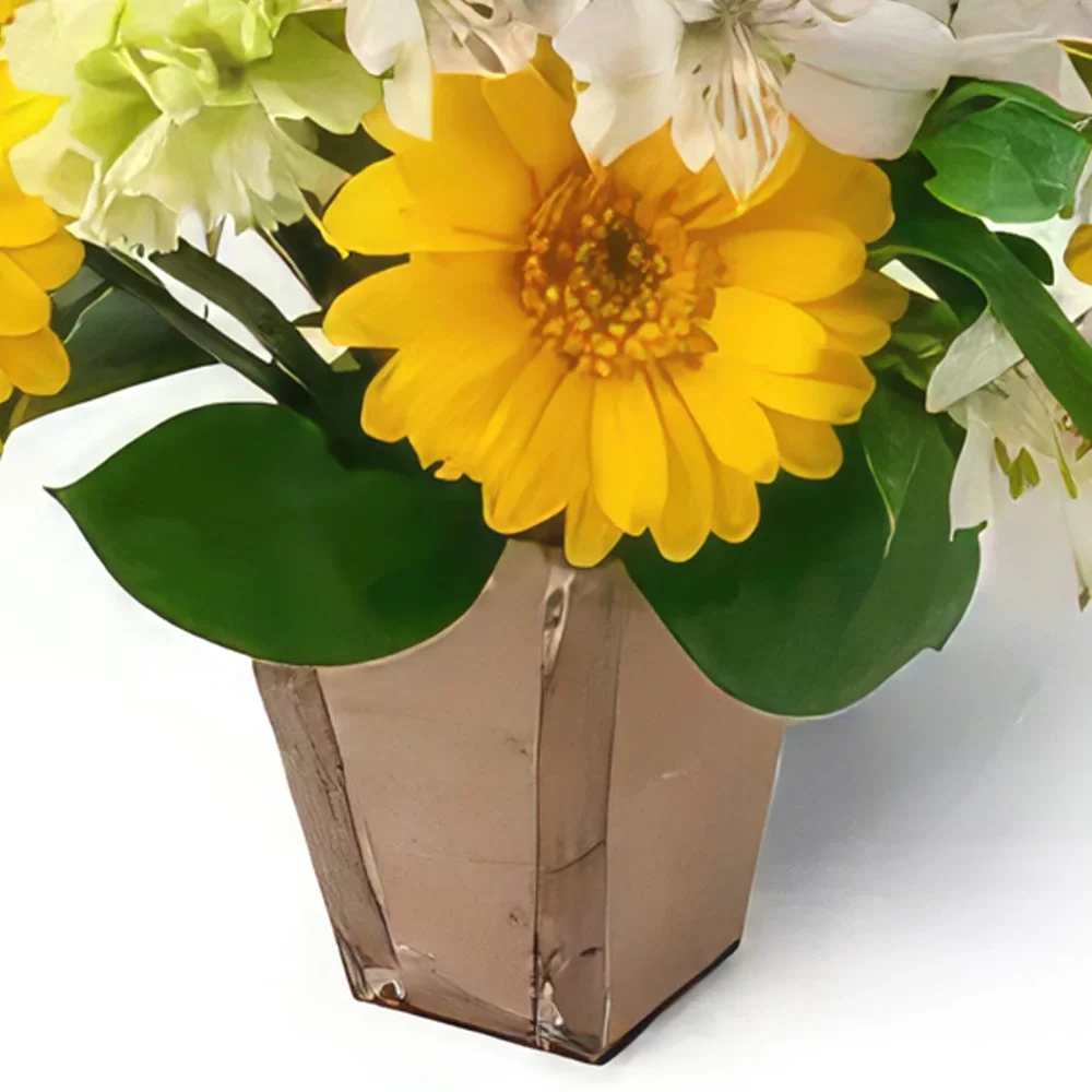 Manauс cveжe- Аranžman žutih i belih gerbera i Асtromelije Cvet buket/aranžman