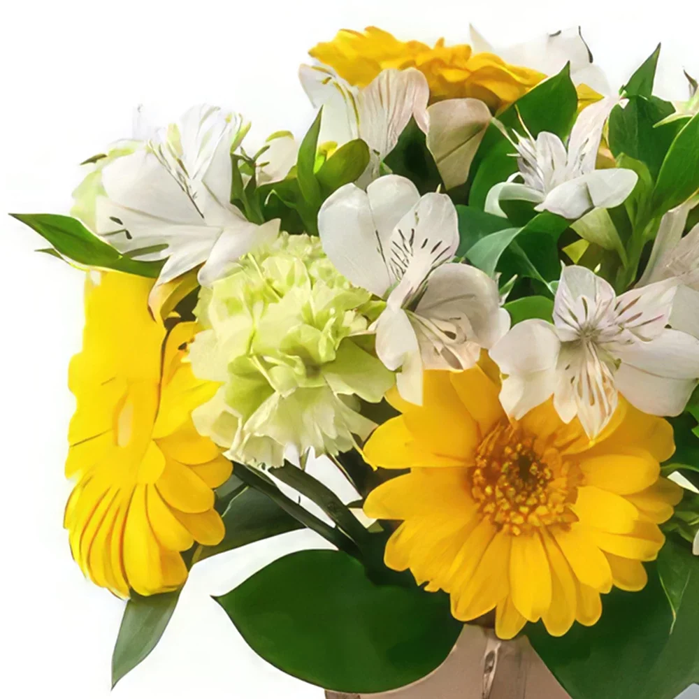 بائع زهور ساو باولو- ترتيب جيربيراس وأستروميليا الأصفر والأبيض باقة الزهور