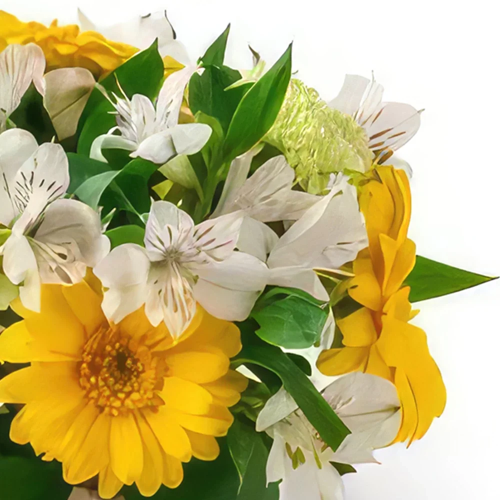 Salvador blomster- Arrangement av gule og hvite Gerberas og Astr Blomsterarrangementer bukett