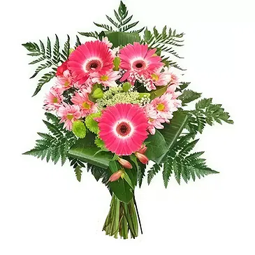 San Jose Santiago flowers  -  Pink sparkle Flower Bouquet/Arrangement