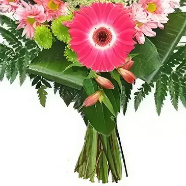 San Jose Santiago flowers  -  Pink sparkle Flower Bouquet/Arrangement