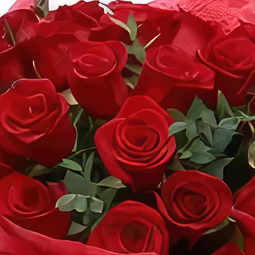 Bulgarije bloemen bloemist- Gewoon rood Boeket/bloemstuk