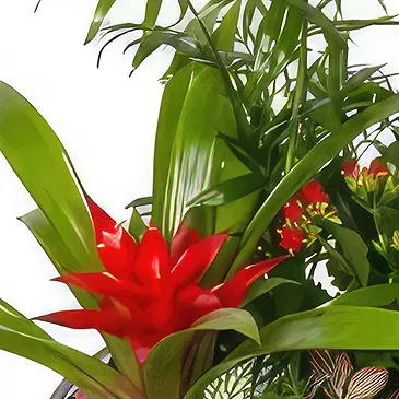 Cala Llonga flowers  -  Vivid Verdure  Flower Bouquet/Arrangement