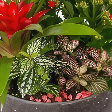 Cala Llonga flowers  -  Vivid Verdure  Flower Bouquet/Arrangement
