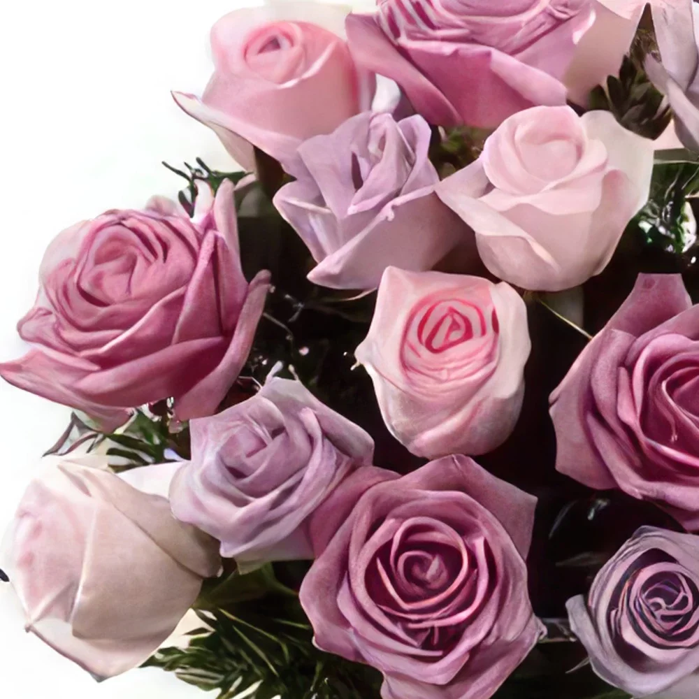 Katanija rože- Prijaznost Cvet šopek/dogovor