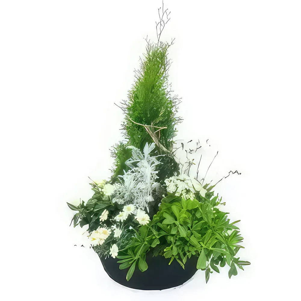 ליל פרחים- מכלול גדול של צמחים לבנים של Caelum זר פרחים/סידור פרחים