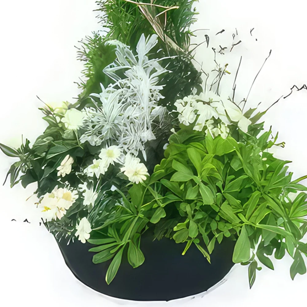 بائع زهور نانت- تجميع كبير لنباتات الكالوم البيضاء باقة الزهور