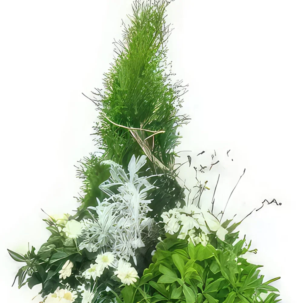 Tarbes цветя- Голям комплект от бели растения Caelum Букет/договореност цвете