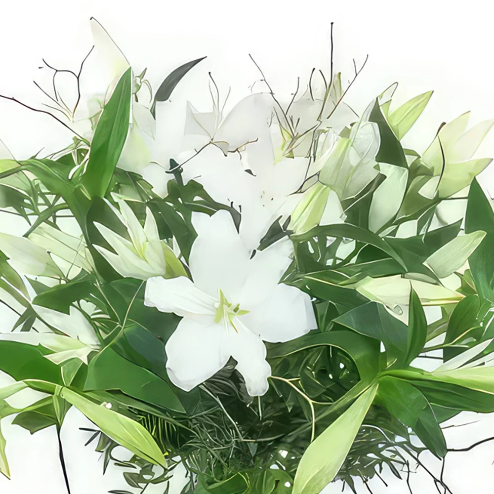 Pau bunga- Sejambak besar teratai putih Syracuse Sejambak/gubahan bunga