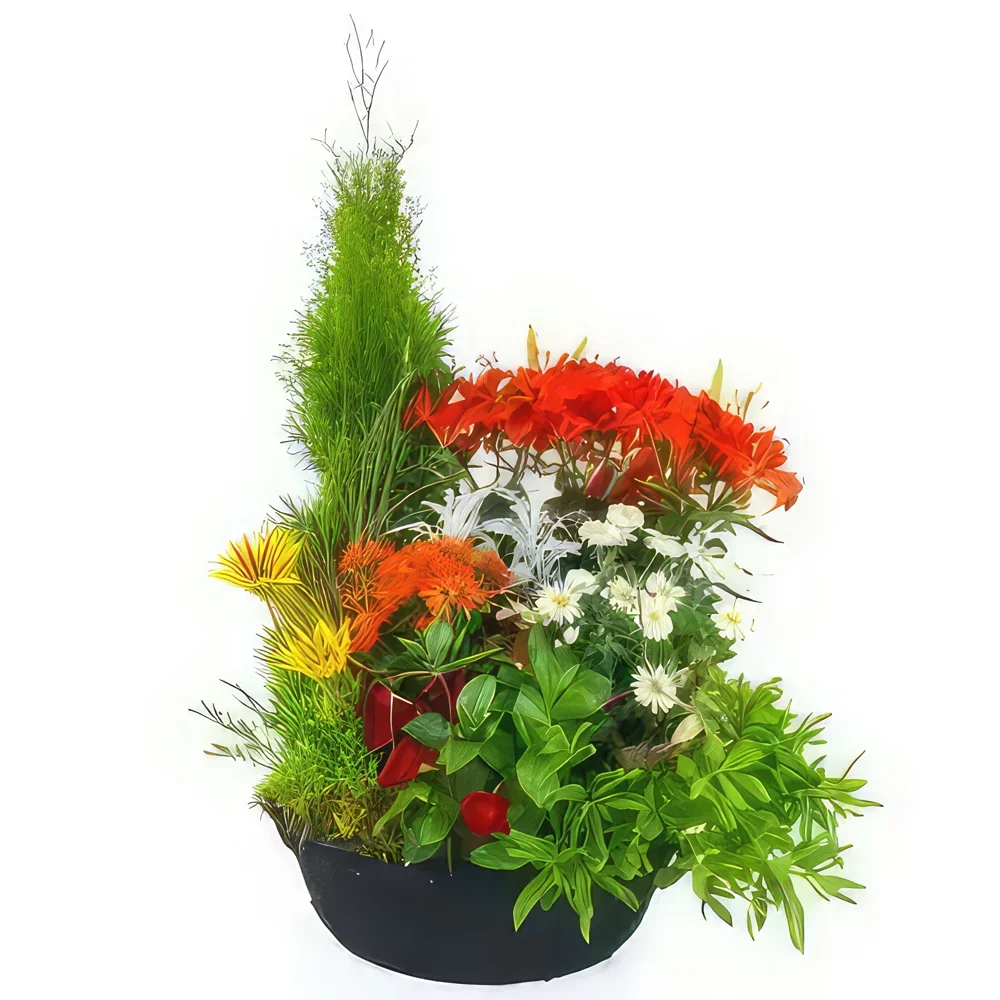 リヨン 花- ソリス グリーンと顕花植物の大きなボウル 花束/フラワーアレンジメント