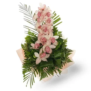 Serbia flowers  -  Cymbidium Orchid Bouquet Flower Delivery