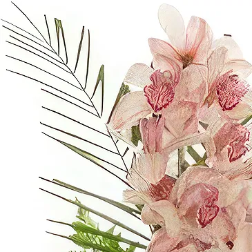 Smederevska Palanka flowers  -  Cymbidium Orchid Bouquet Flower Bouquet/Arrangement