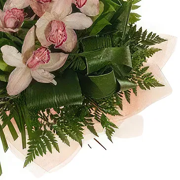 Smederevska Palanka flowers  -  Cymbidium Orchid Bouquet Flower Bouquet/Arrangement