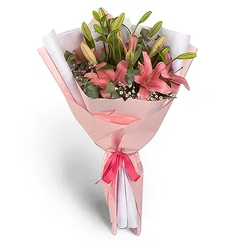 Colonia Campo Villafane Mayor Vicente Villafane flowers  -  Original Decore Flower Delivery