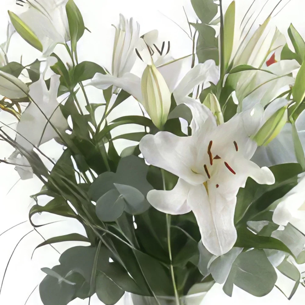Brémy kvety- Svetlo a Biela Aranžovanie kytice