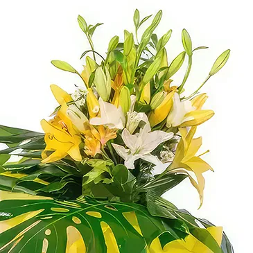 San Jose Santiago flowers  -  Summer day Flower Bouquet/Arrangement