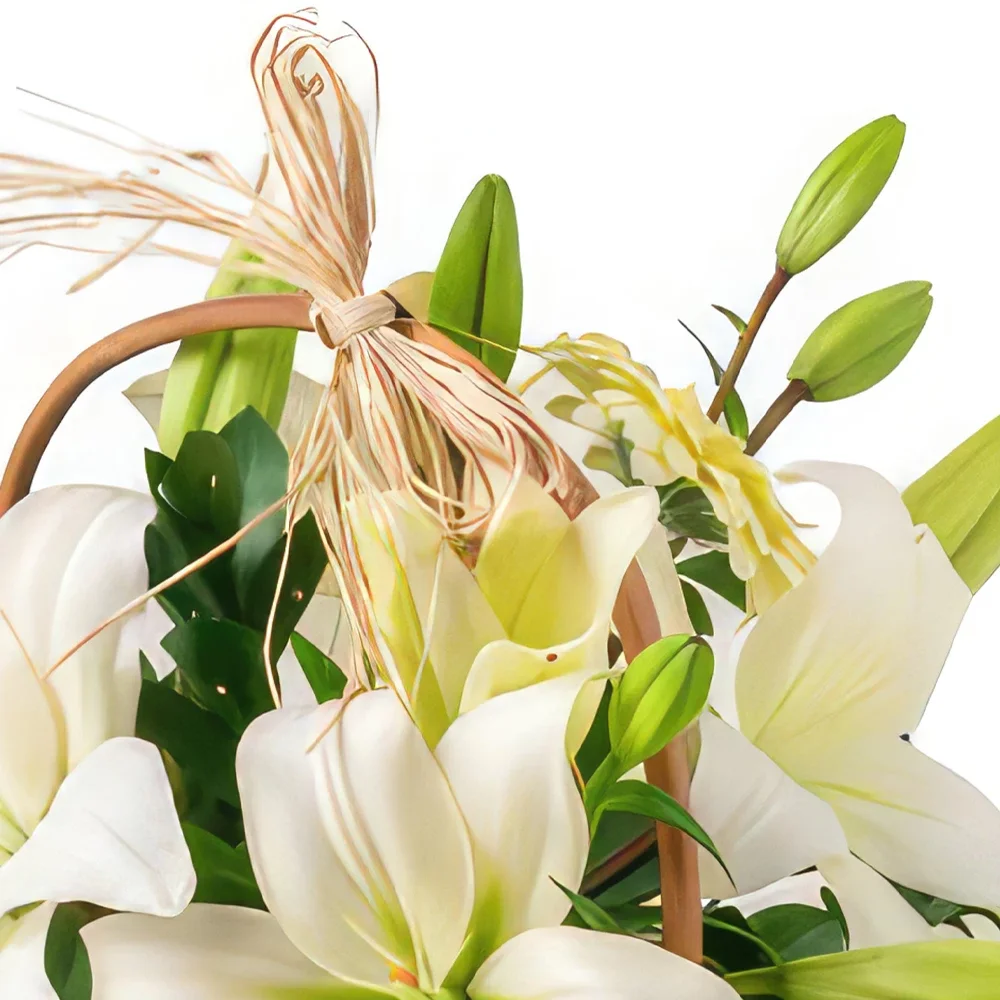 Belem bunga- Keranjang Bunga Lili, Gerberas Putih dan Coke Rangkaian bunga karangan bunga