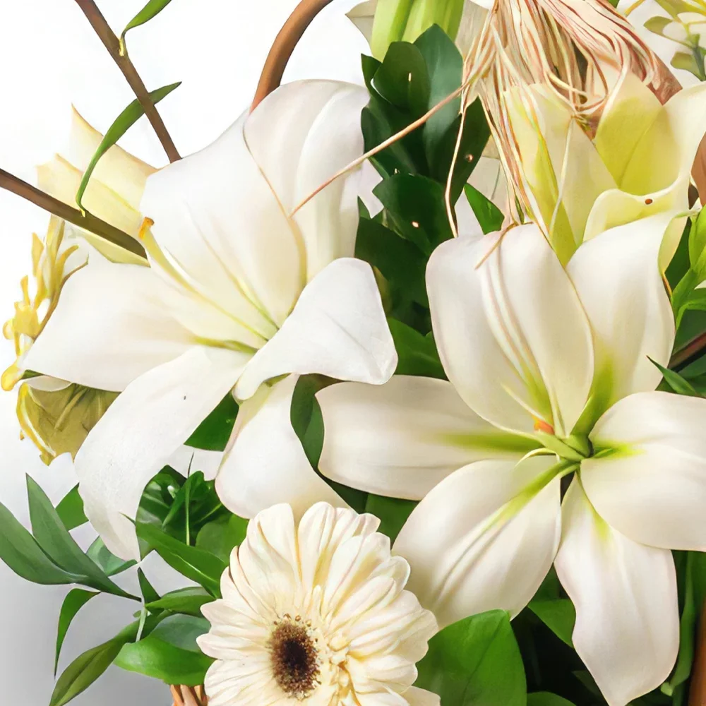flores el Salvador floristeria -  Cesta de Lirios, Gerberas Blancas y Chocolate Ramo de flores/arreglo floral