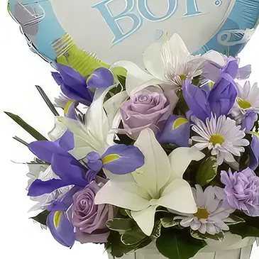 Macuilacatl Chico flowers  -  A Little Prince Flower Bouquet/Arrangement