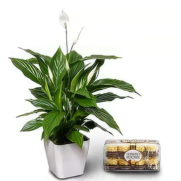 Buangkok flowers  -  Inside Happiness Flower Bouquet/Arrangement