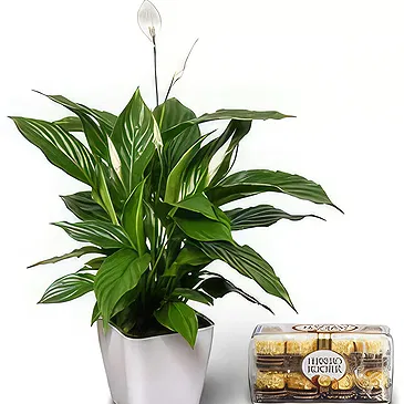 Buangkok flowers  -  Inside Happiness Flower Bouquet/Arrangement