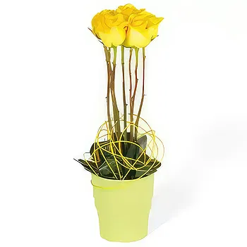 Paříž květiny- Lily žluté růže složení Květ Dodávka