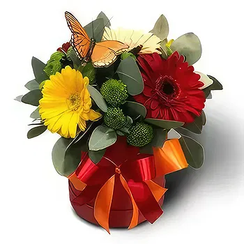 Kravino flowers  -  A Box of Flowers Delivery