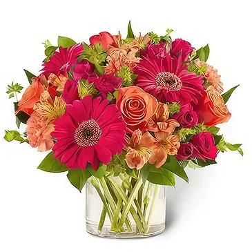 Garhoud flowers  -  Lively Blooms Flower Bouquet/Arrangement