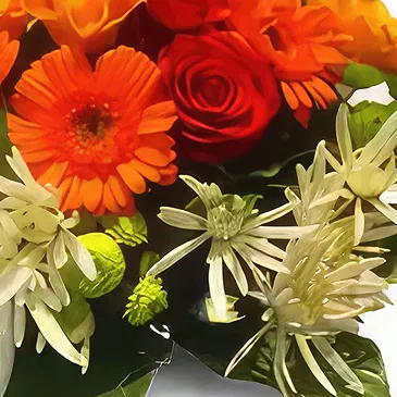 Wroclaw flowers  -  Beautiful Bouquet Flower Bouquet/Arrangement