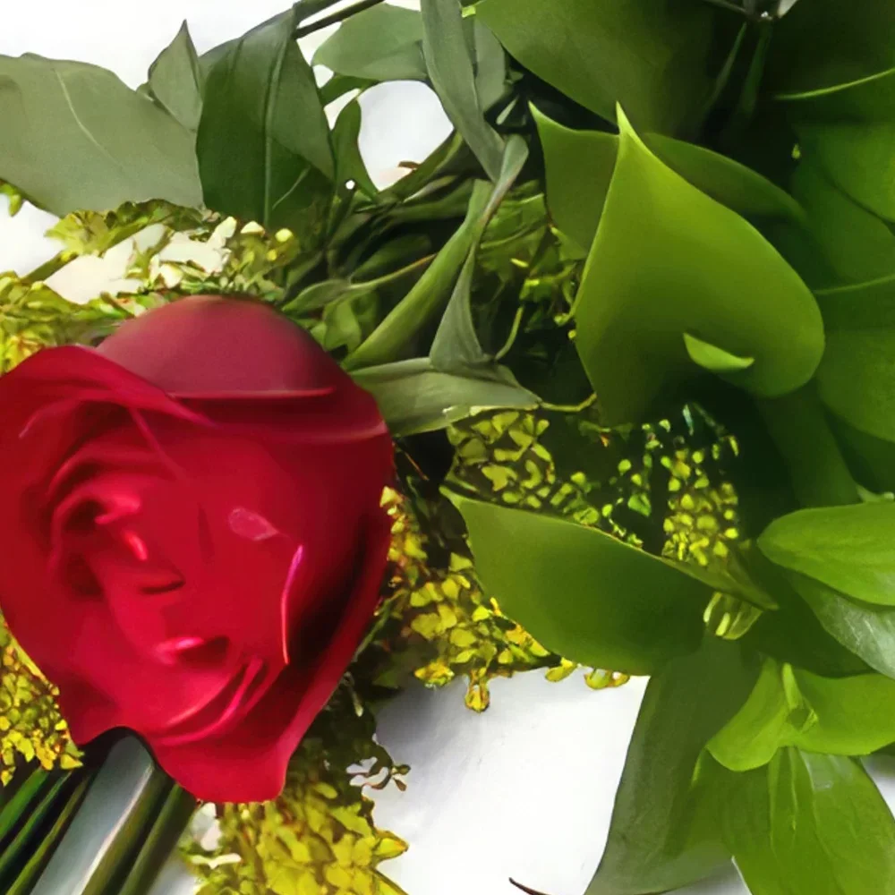 Belém kvety- Červená osamelá ruža Aranžovanie kytice