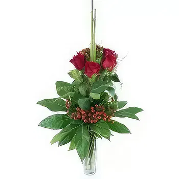 France flowers  -  Long bouquet of Zaragoza red roses Flower Delivery